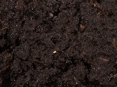 回收甘肃某客户污泥